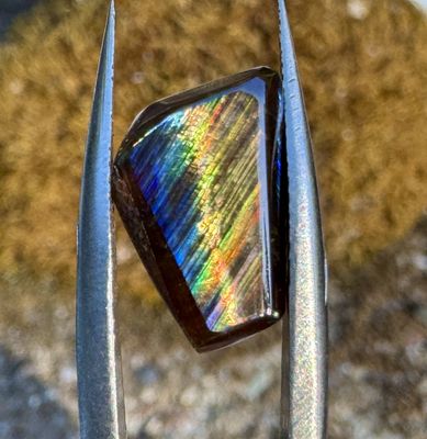 Cat's Eye Rainbow Garnet Freeform Cabochon – San Pedro Mountain, New Mexico 3.7 ct | 1.6mm x 8.3mm x 3mm