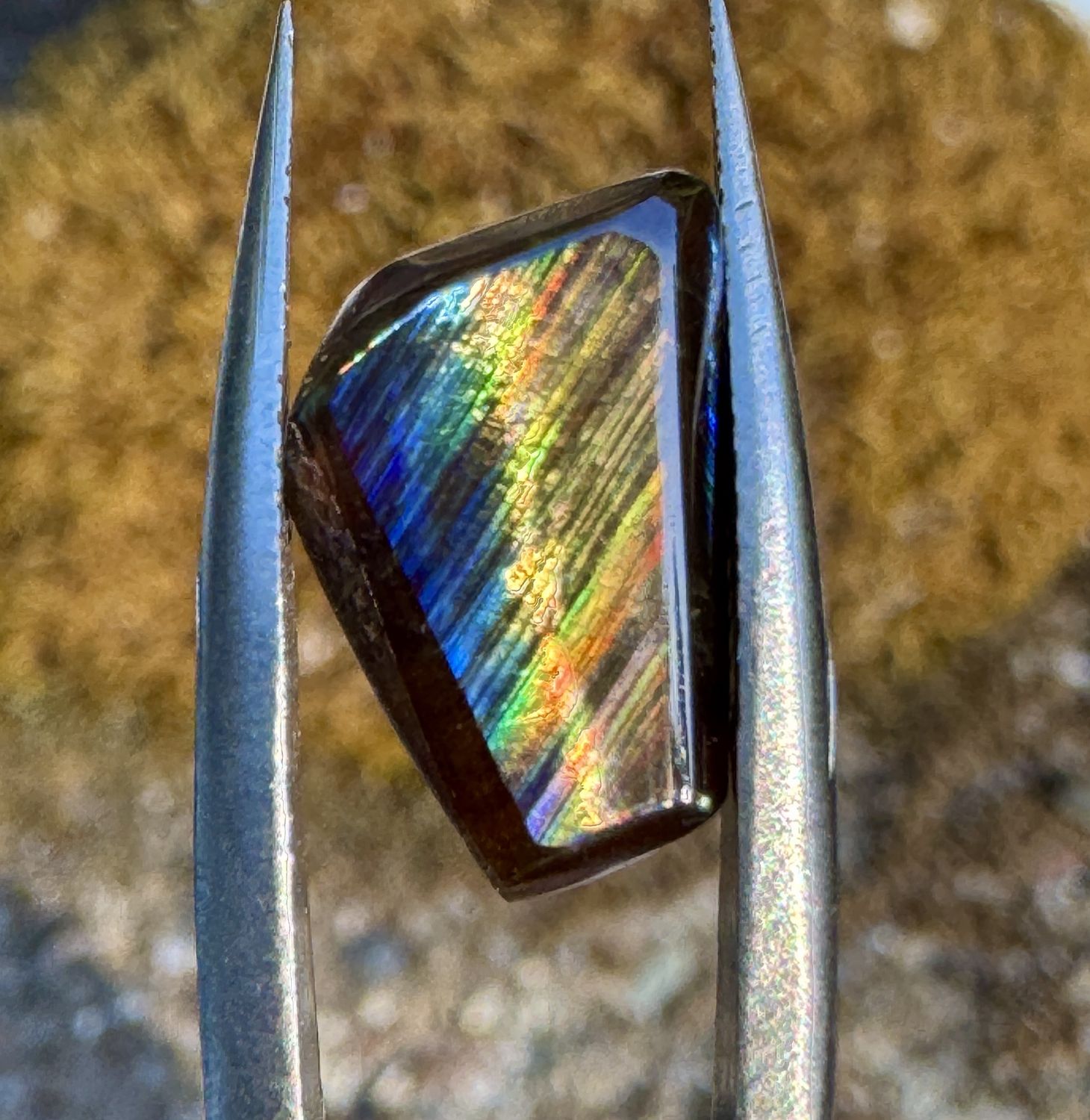 Cat&#39;s Eye Rainbow Garnet Freeform Cabochon – San Pedro Mountain, New Mexico 3.7 ct | 1.6mm x 8.3mm x 3mm