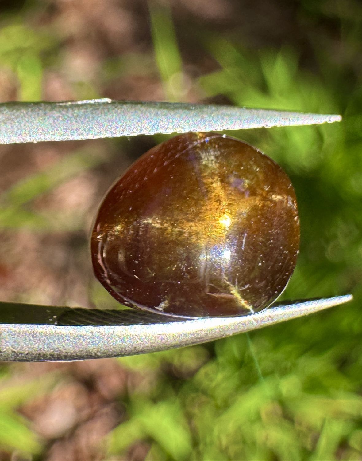Asterized Rainbow Garnet Freeform Cabochon – San Pedro Mountain, New Mexico 3.7 ct | 9.75mm x 8.15mm x 4.15mm