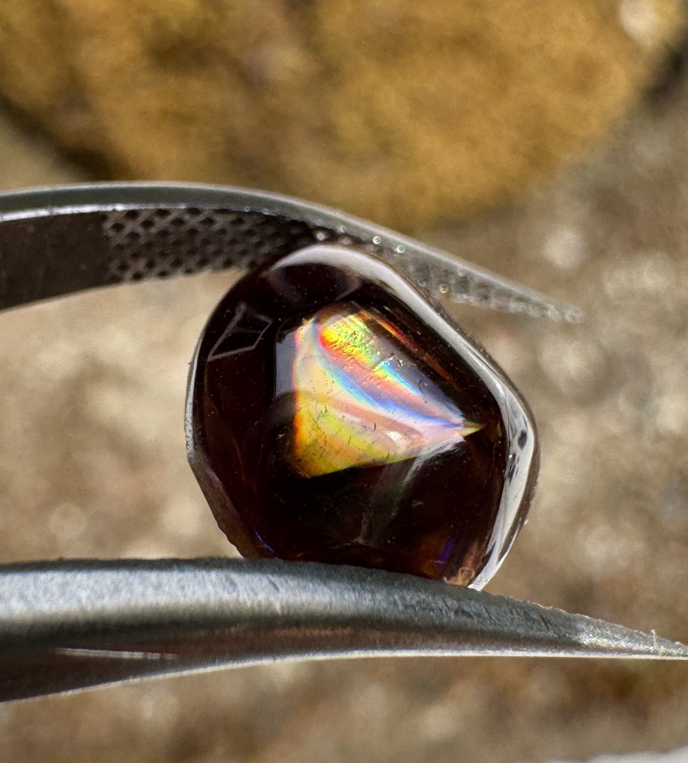 Freeform Rainbow Garnet Cabochon – Arlit, Niger 3.14 ct | 8.3mm x 10mm x 4.5mm