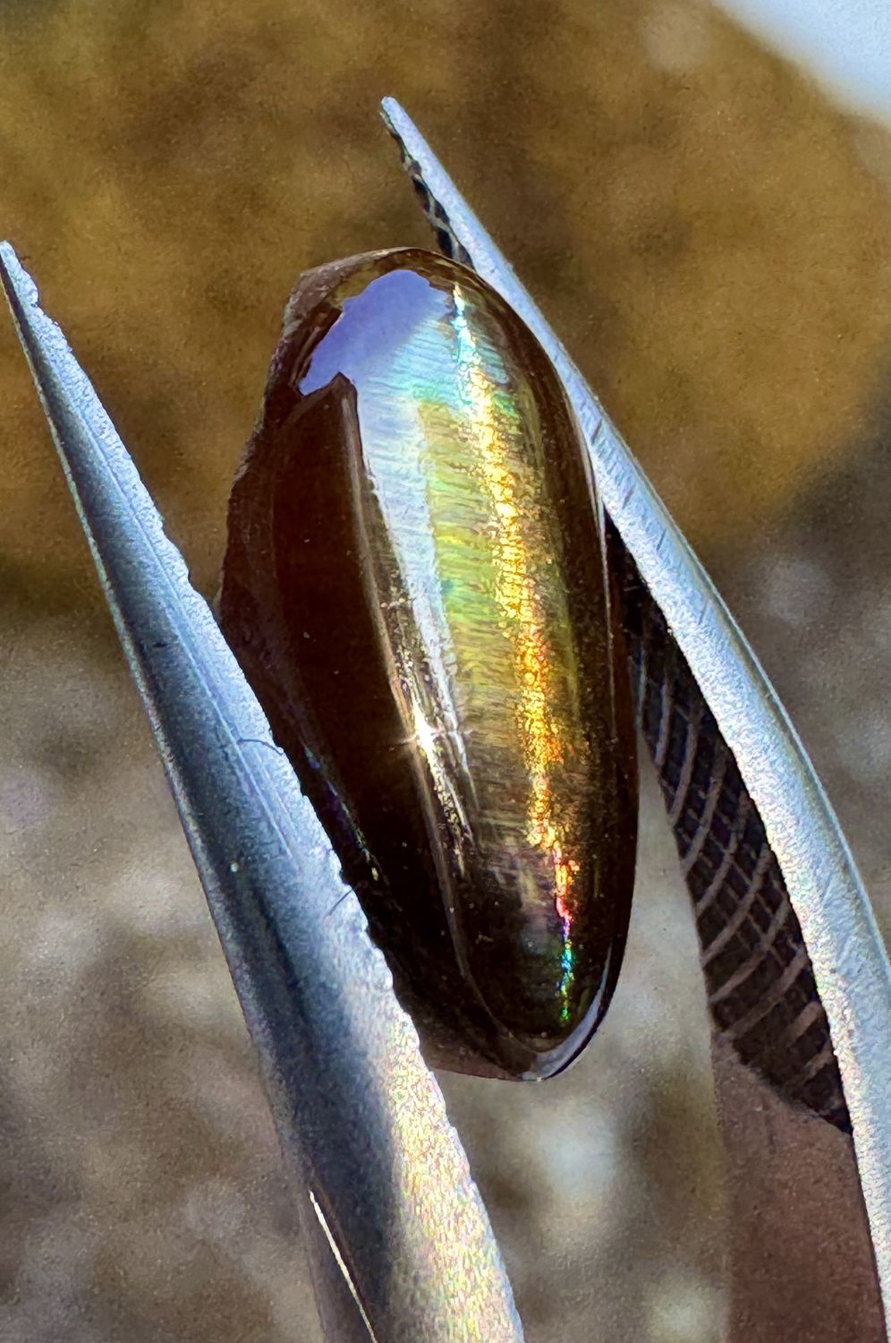 Cat&#39;s Eye Rainbow Garnet Freeform Cabochon – San Pedro Mountain, New Mexico 1.6 ct | 10.3mm x 5.15mm x 2.75mm