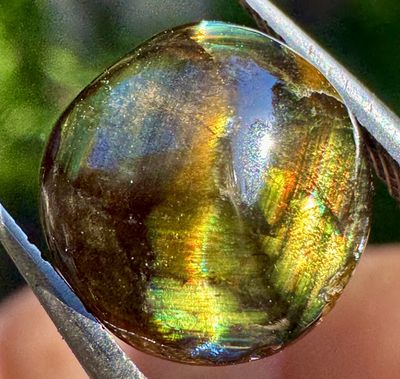 Asterized Rainbow Garnet Freeform Cabochon – San Pedro Mountain, New Mexico 6.46 ct | 10mm x 10.2mm x 6mm