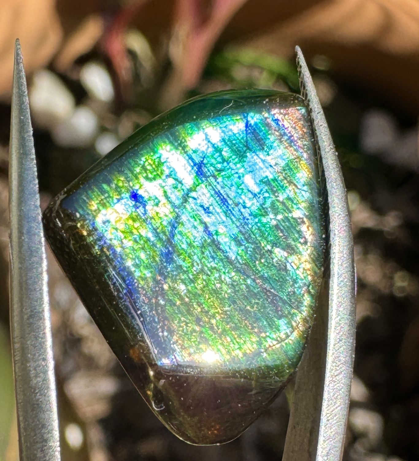 Electric Peacock Colored Rainbow Garnet Freeform Cabochon – San Pedro Mountain, New Mexico 16.4 ct | 19mm x 5.75mm x 14.5mm