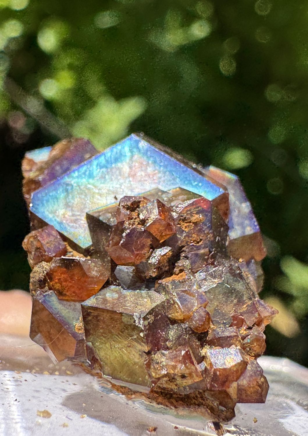 Iridescent Andradite Garnet Cluster on Matrix – Nara, Japan – 22.3mm x 17.2mm x 16mm
