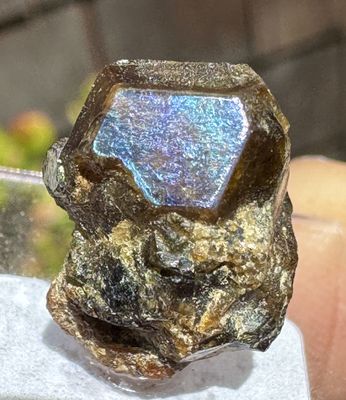 Historic Rainbow Garnet on Skarn Matrix – Rainbow Mine, Nevada – 16.9mm x 12.6mm x 9.15mm