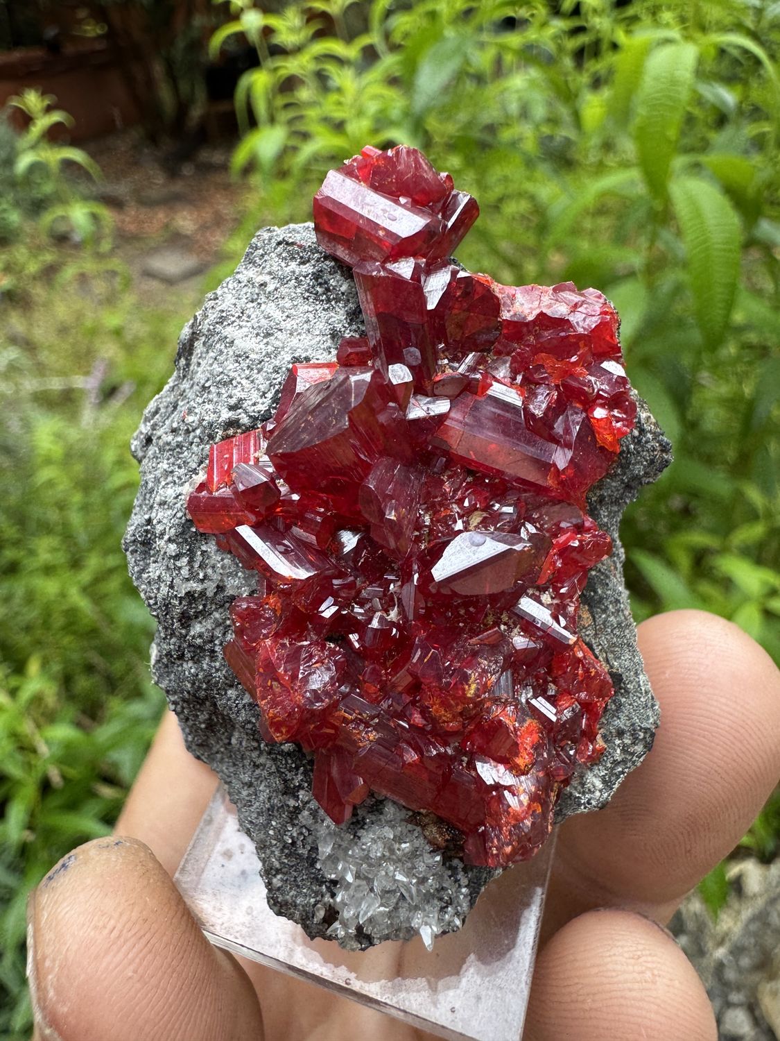 Realgar on Matrix – Jiepaiyu Mine, Shimen Deposit, Hunan, China 59.5mm x 48mm x 32mm