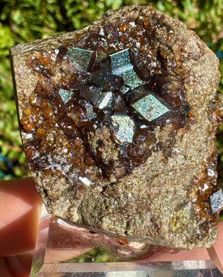 Iridescent Andradite on Matrix – San Pedro Mountain, Santa Fe County, New Mexico 50.0mm x 46.2mm x 22.4mm