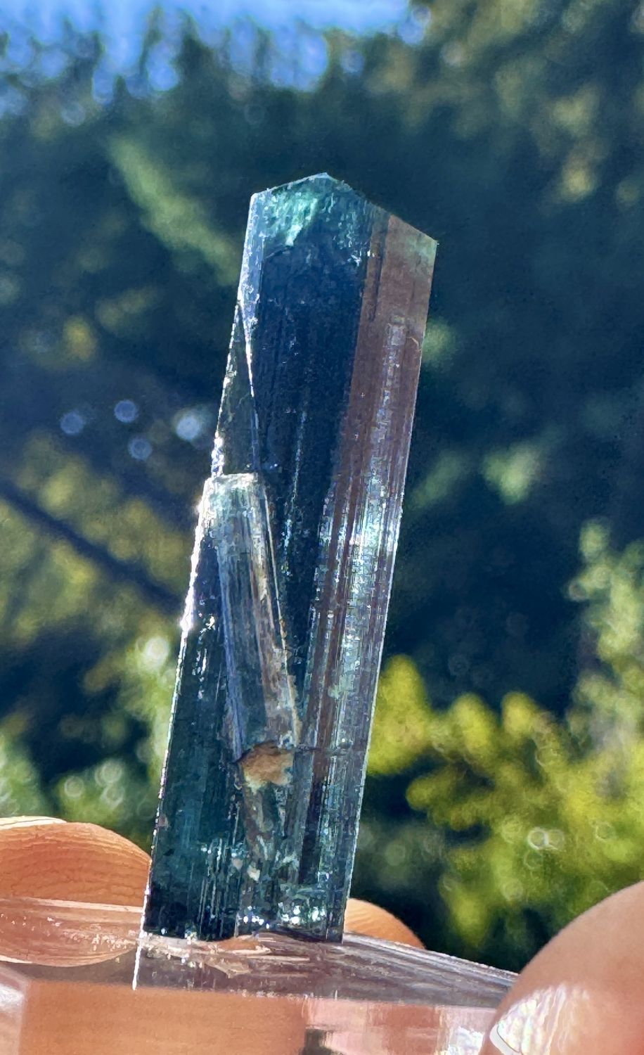 Blue-Purple Tourmaline Crystal – Tourmaline Queen Mine, Pala, California 3.4 grams | 28.5mm x 8.5mm x 7.75mm