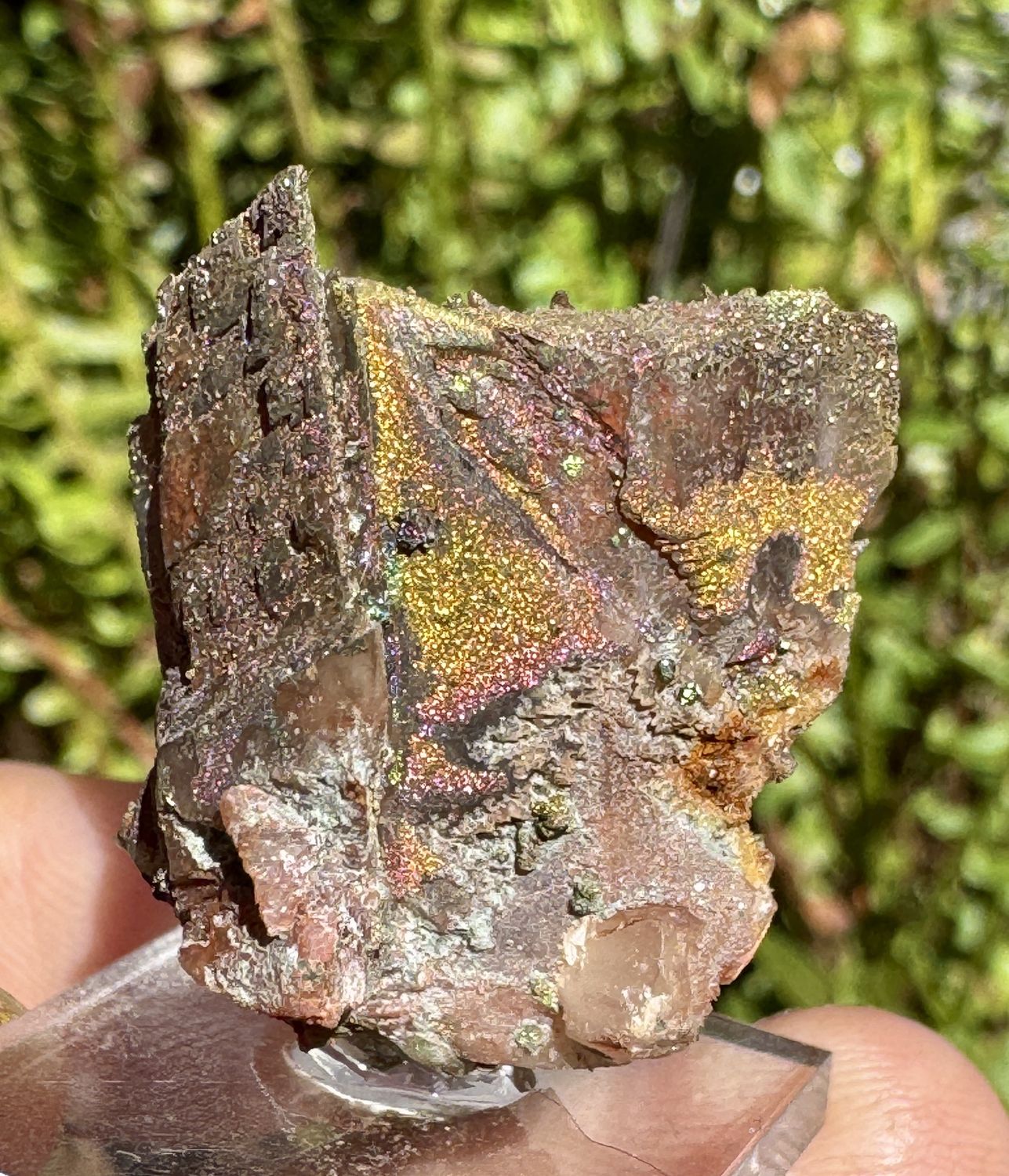 Calcite with Chalcopyrite – Dniester River Area, Moldova Miniature Cluster with Fishtail Twinning and Iridescent Chalcopyrite Druze 29.15mm x 26.25mm x 20mm