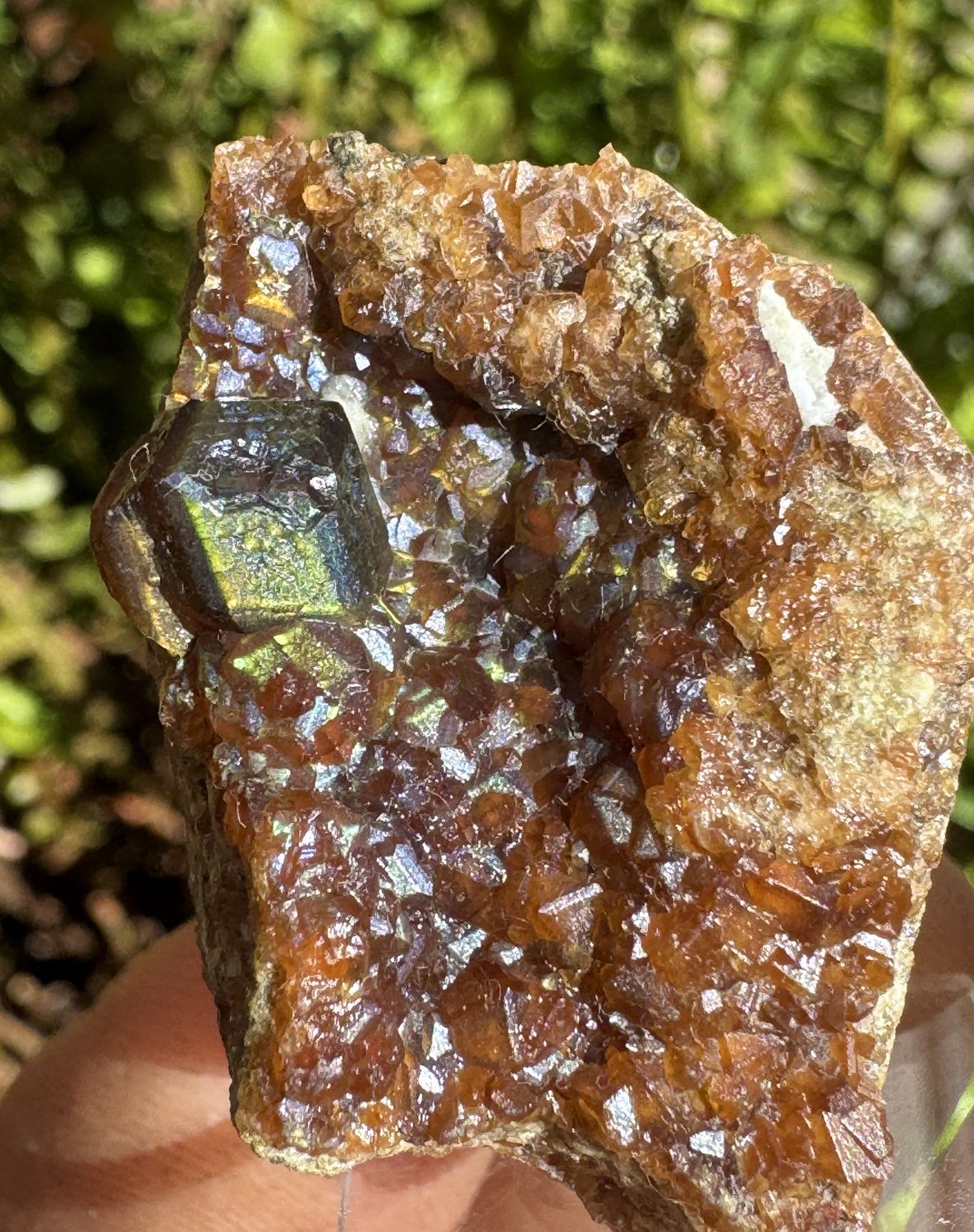 Rainbow Andradite Garnet on Matrix – San Pedro Mountain, Santa Fe County, New Mexico 36mm x 29.5mm x 22.48mm