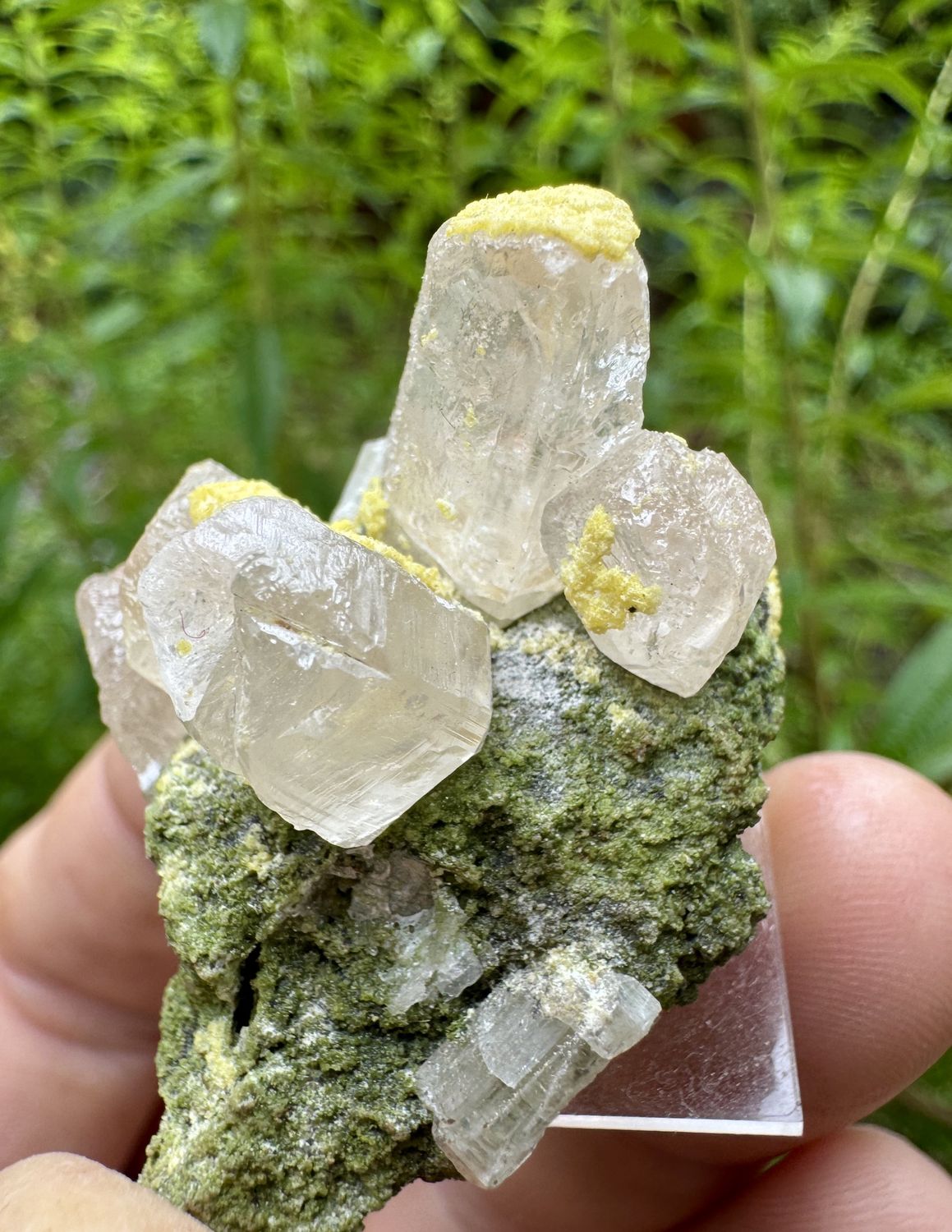 Cerrussite with Mimetite on Duftite – Tsumeb Mine, Otavi Highlands, Namibia 34.34mm x 33.5mm x 32.0mm