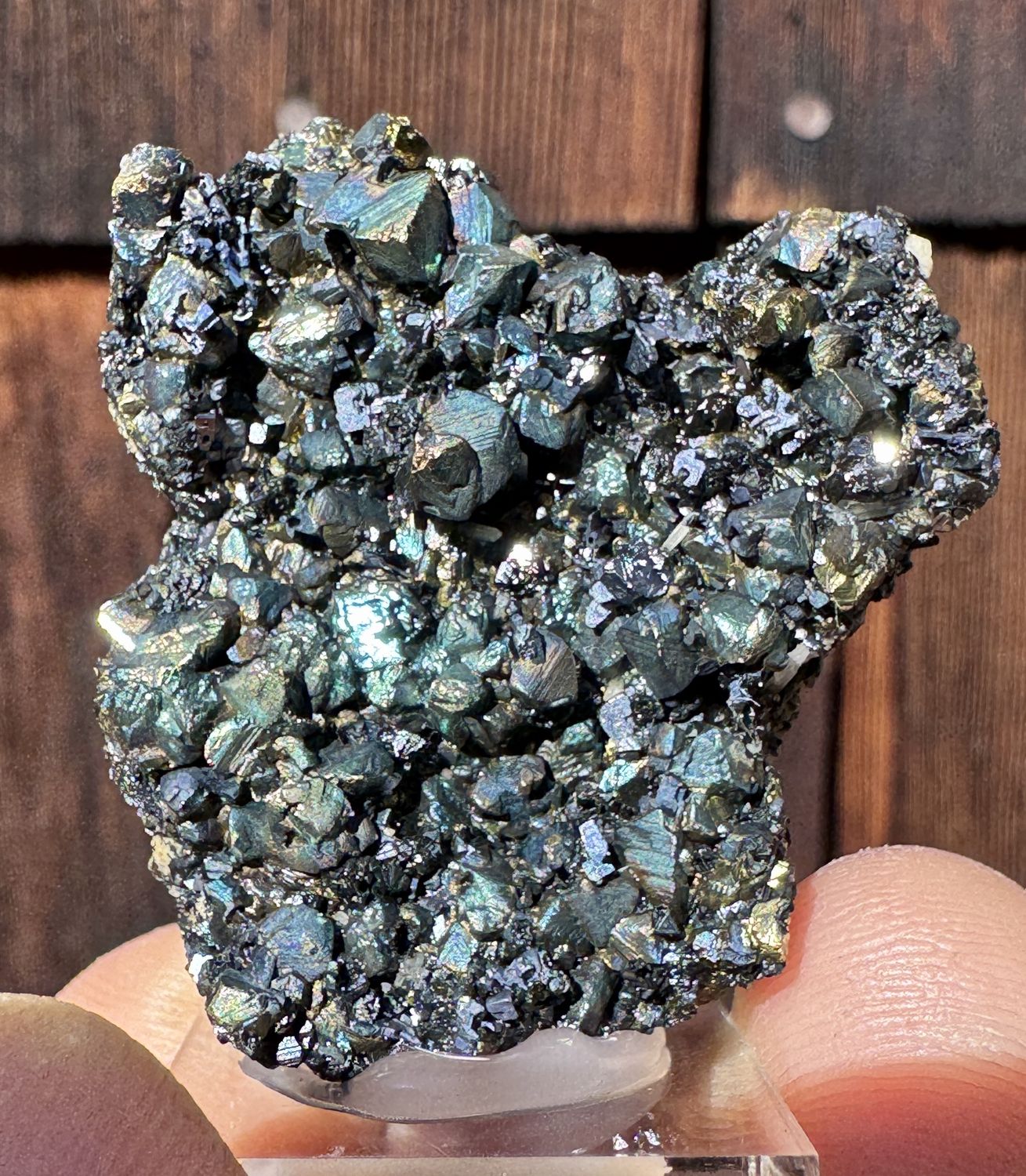 Iridescent Chalcopyrite Cluster – Bulgaria  41.5 mm x 38.72 mm x 13.75 mm