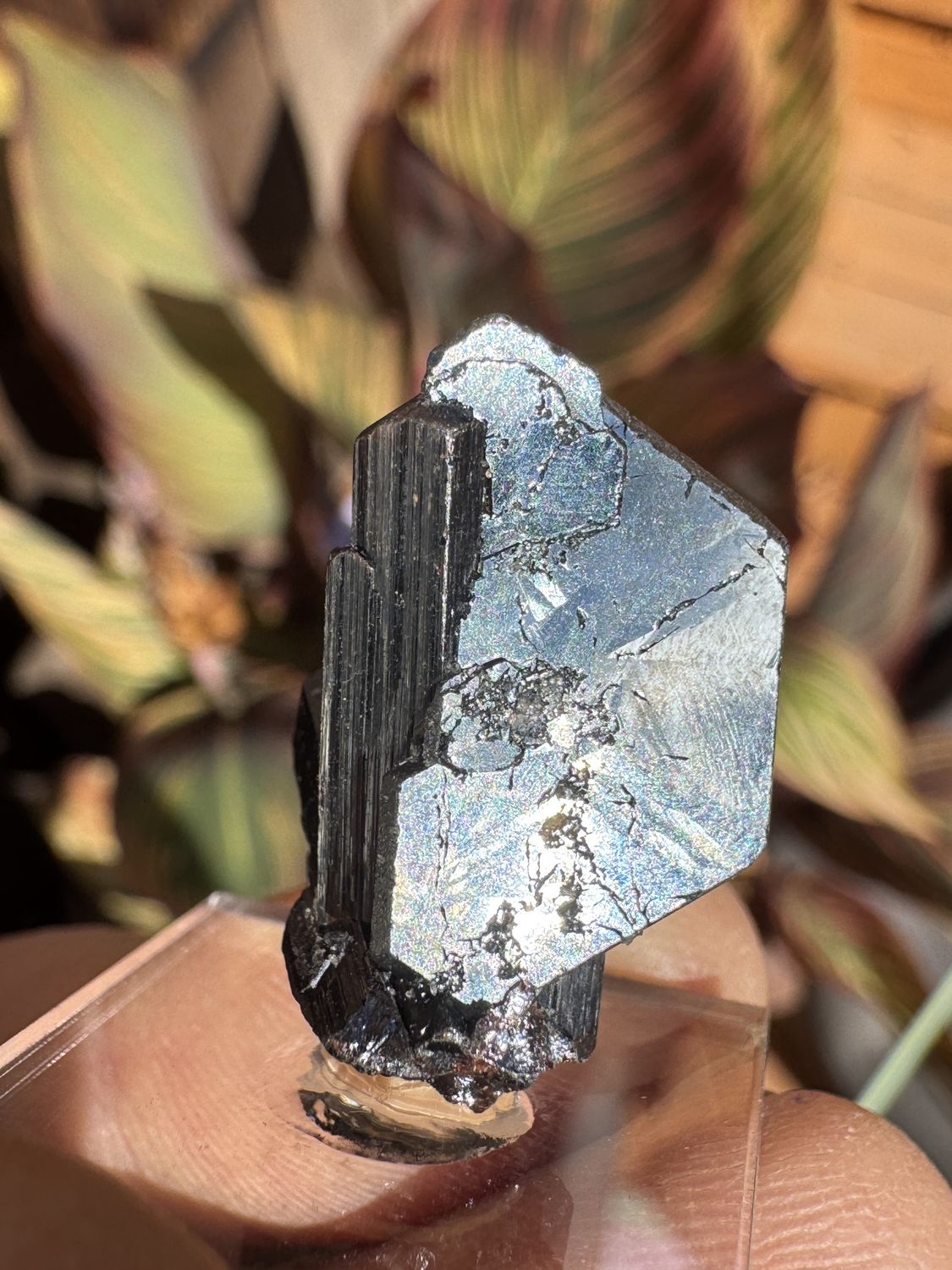 Hematite on Rutile – Novo Horizonte, Bahia, Brazil  24.34 mm x 18.03 mm x 14.77 mm