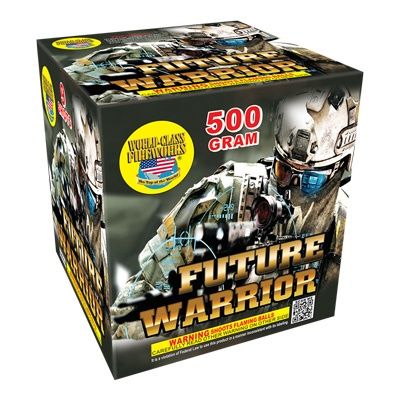 Future Warrior