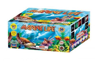 Marine Life