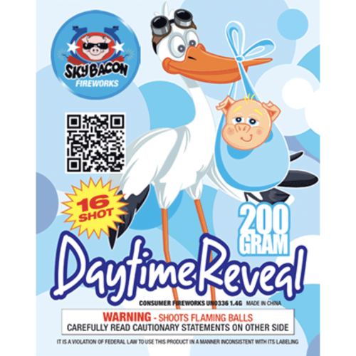 Gender Daytime Reveal