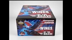 Wings of the Brave