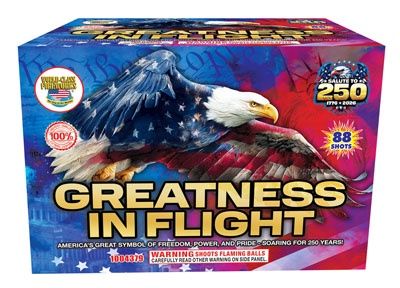 Greatness In Flight