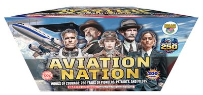 Aviation Nation