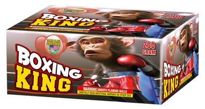 Boxing King 200 gram case 12/1
