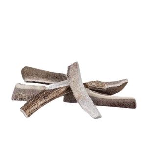 Primal Split Stag Antler Chew for Dogs, Size: Small