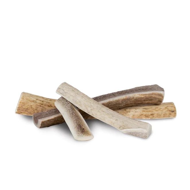 Primal Split Elk Antler Chew for Dogs, Size: Small