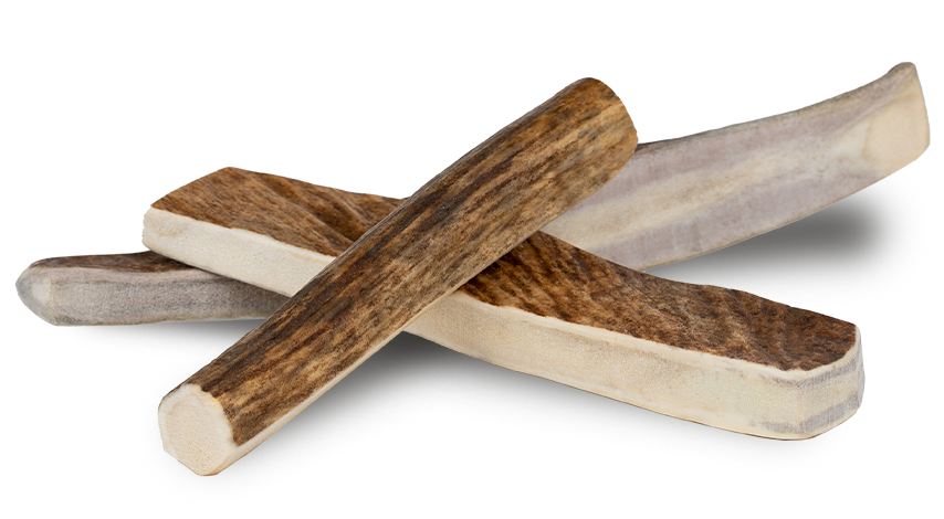 Primal Split Moose Antler Chew for Dogs, Size: Large