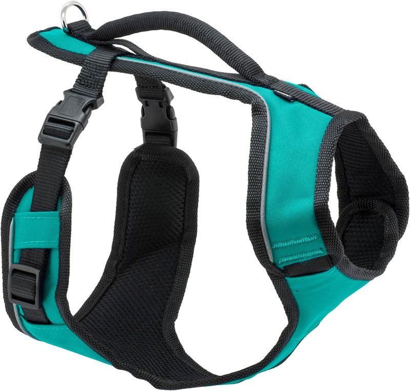 PetSafe Easysport Dog Harness Teal