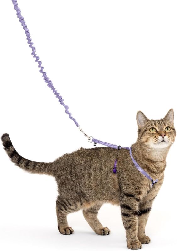 PetSafe Cat Harness &amp; Bungee Lilac
