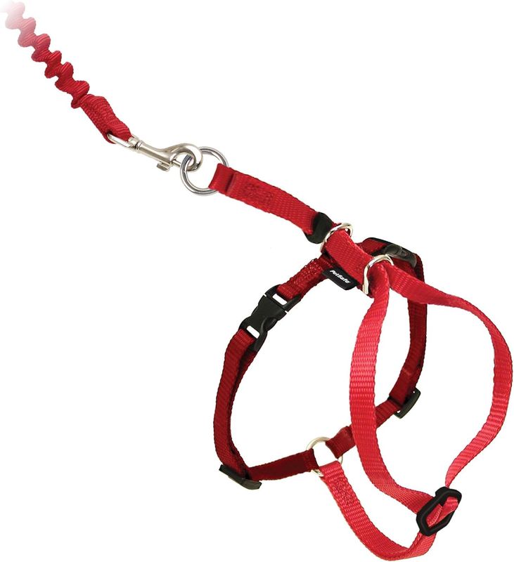 PetSafe Cat Harness &amp; Bungee