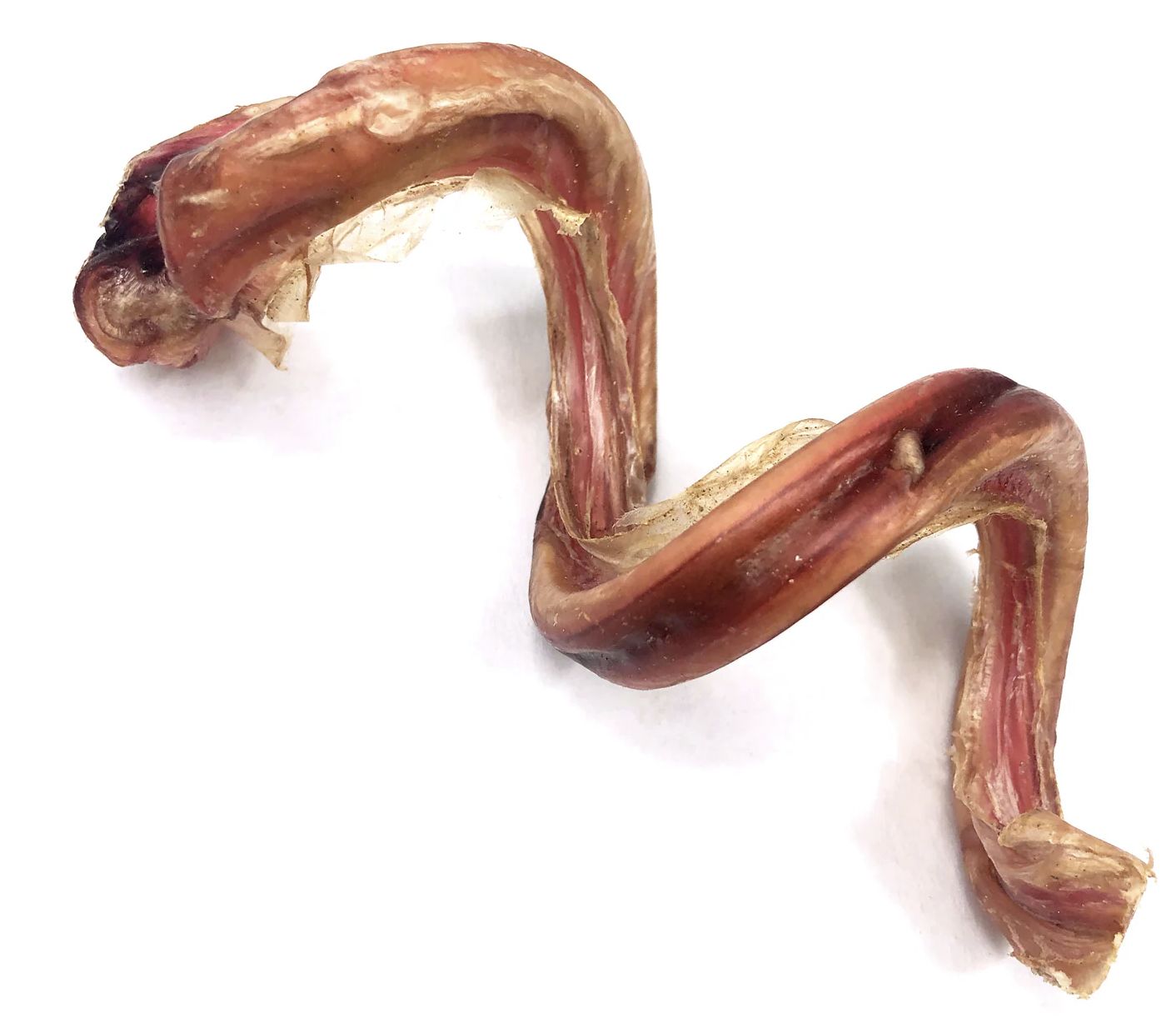 Tuesday&#39;s Dog Curly Bully Sticks 5&quot;