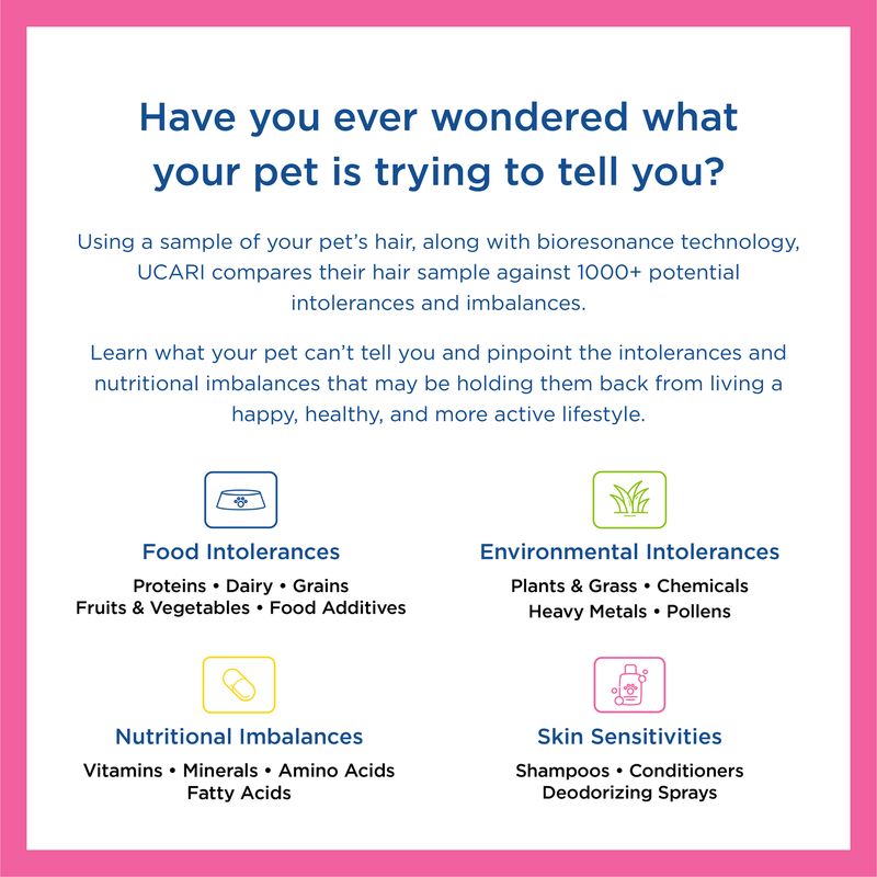 Ucari At-Home Pet Intolerance Test Kit