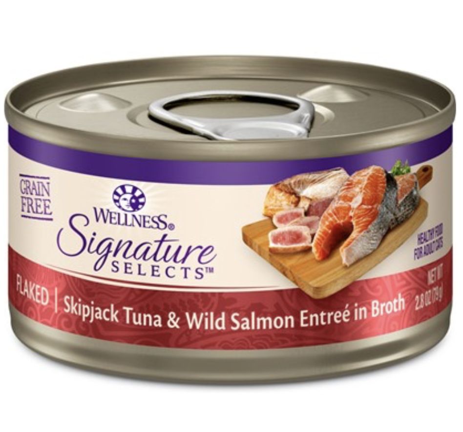 Wellness Cat Can Tuna &amp; Salmon 2.8oz
