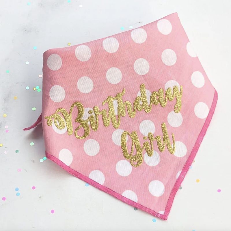 District Dog Birthday Girl Bandanas