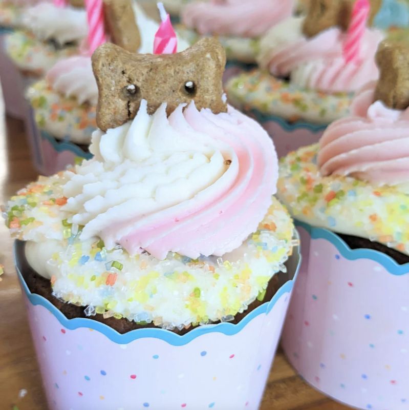 District Dog Soft Frosting Cupcake Pink