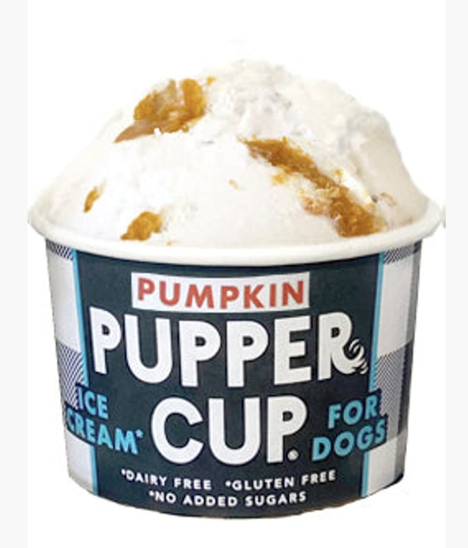 Pupper Cup Dog Ice Cream Pumpkin 3oz