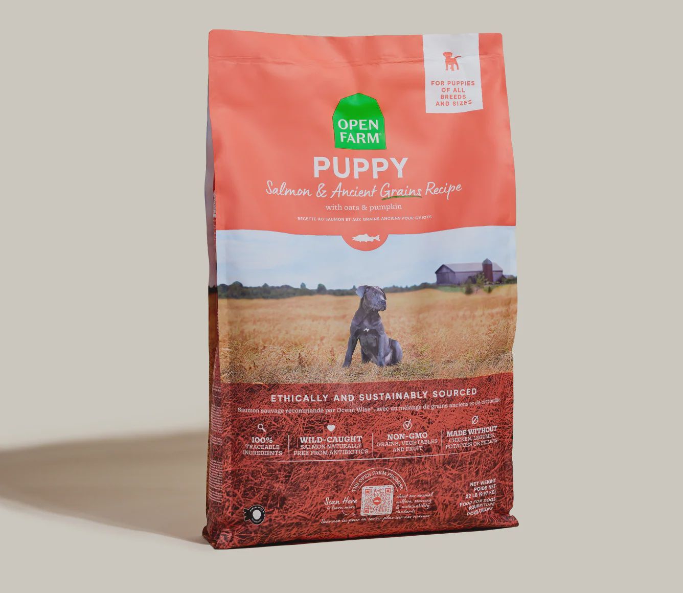 Open Farm Dog Ancient Grains Puppy Salmon &amp; Sweet Potato, Size: 4lb