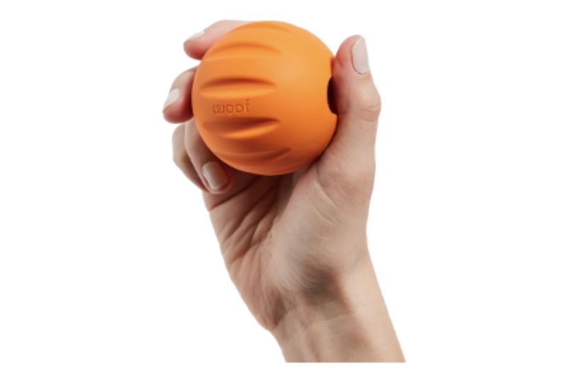 Woof Dog Forager Flyball Single
