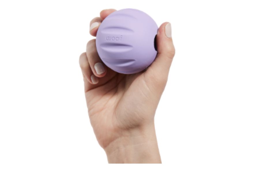Woof Dof Pupsicle Forager Single Flyball, Color: Purple