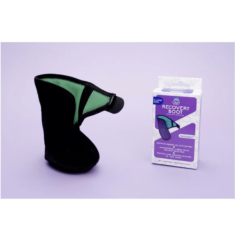 Calm Paws Recovery Boot