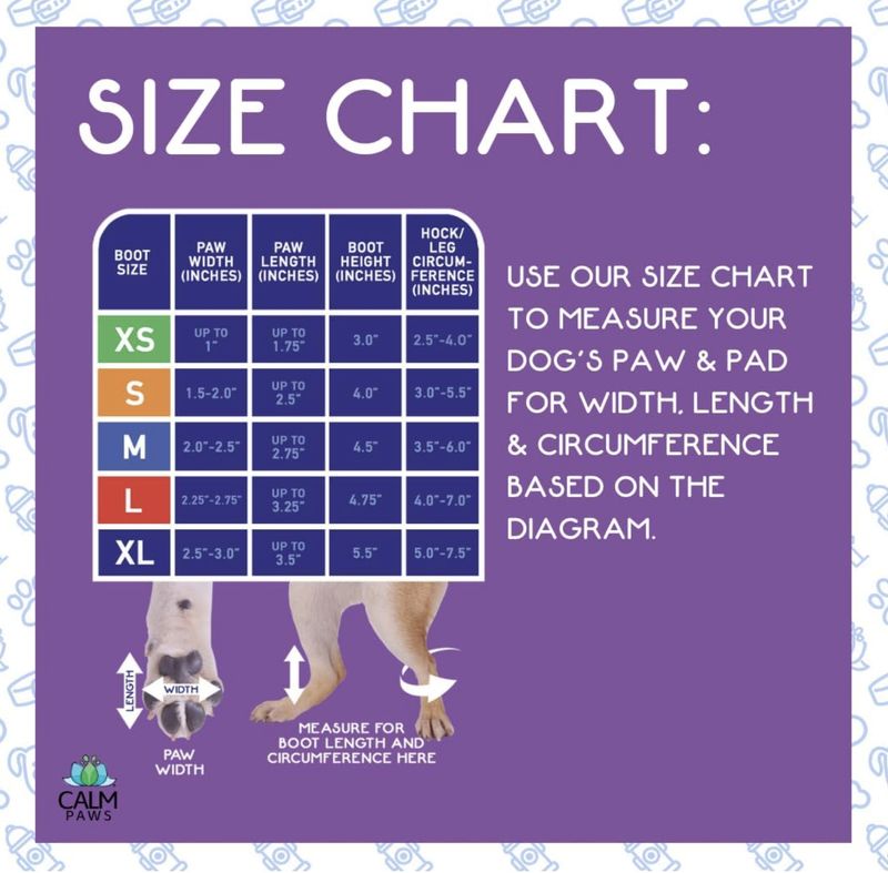 Calm Paws Recovery Boot