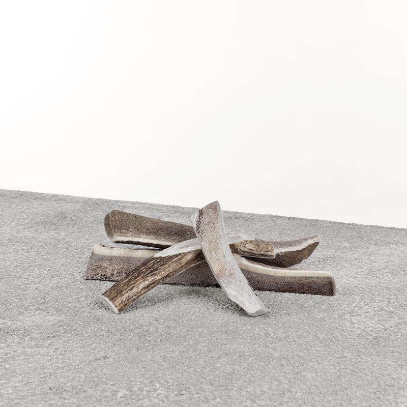 Primal Dog Split Stag Antler Chew