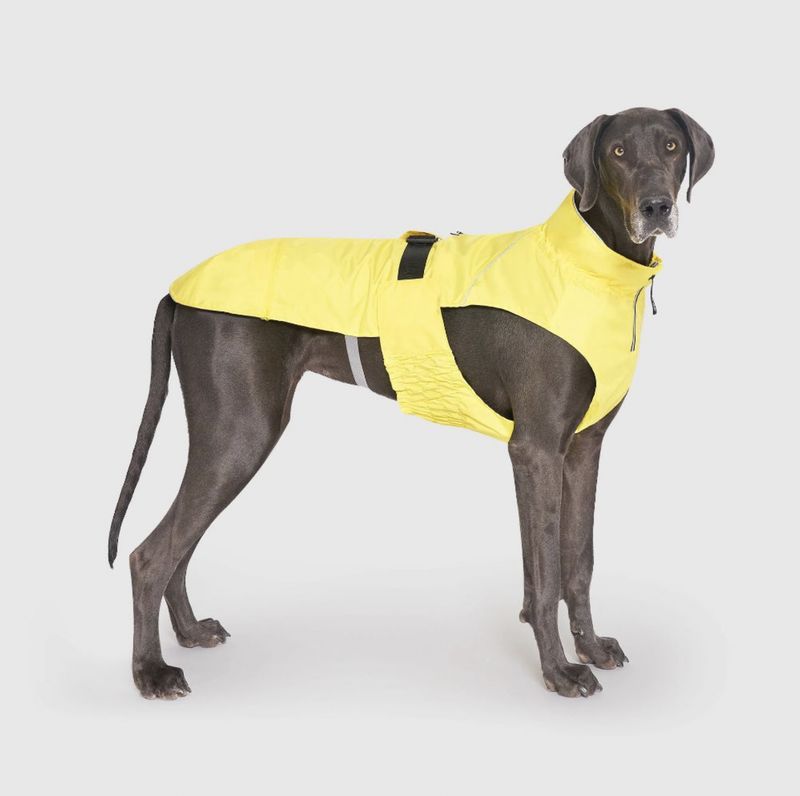 Canada Pooch Grow-With-Me Raincoat Yellow Extra Large
