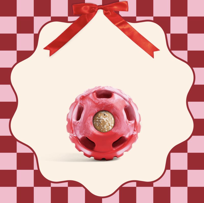 Woof Dog Holiday Pupsicle Candy Cane