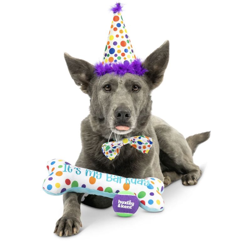Huxley &amp; Kent Dog Happy Barkday Celebration Box