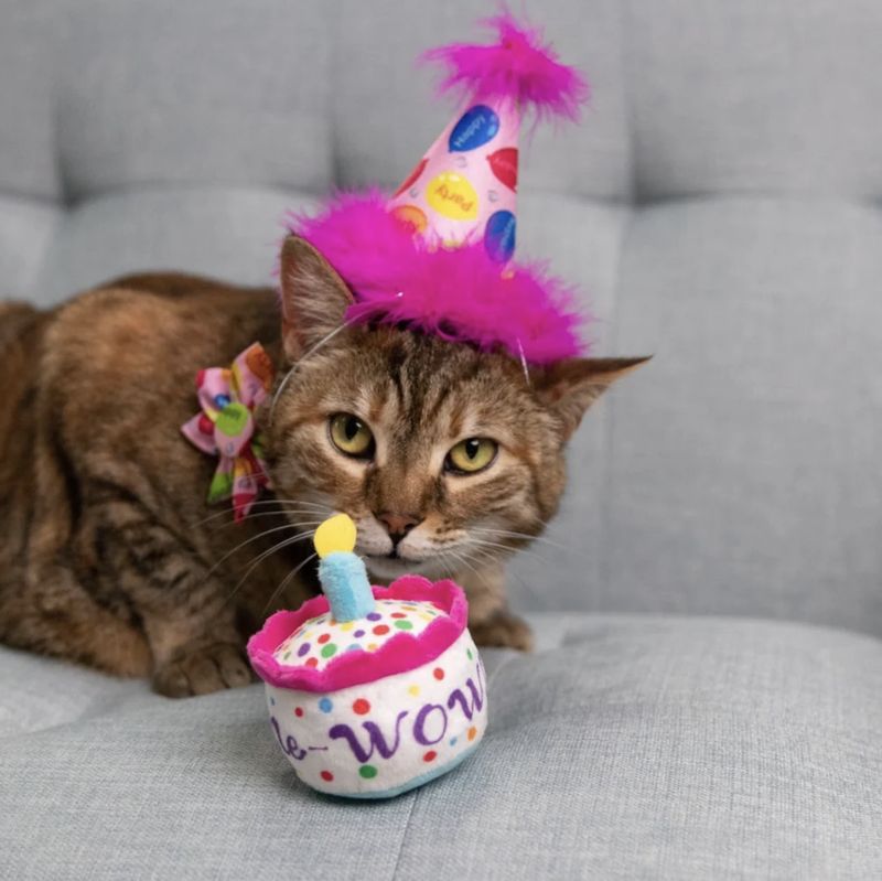 Huxley &amp; Kent Cat Mewow Cake