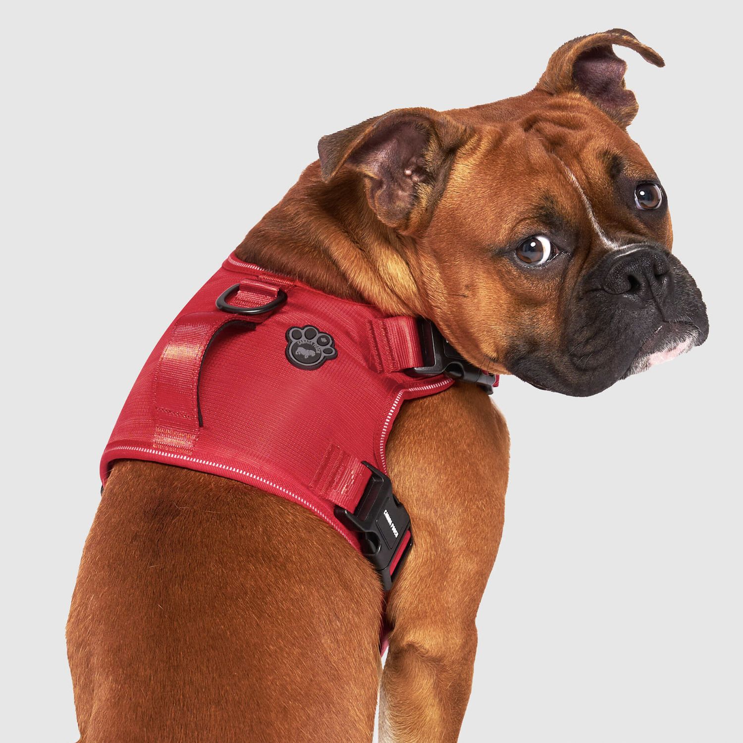 Canada Pooch Complete Control Harness, Color: Red, Size: Small