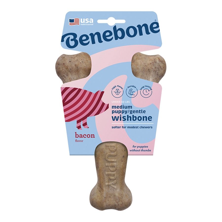 Benebone Dog Puppy Wishbone Bacon, Size: Medium