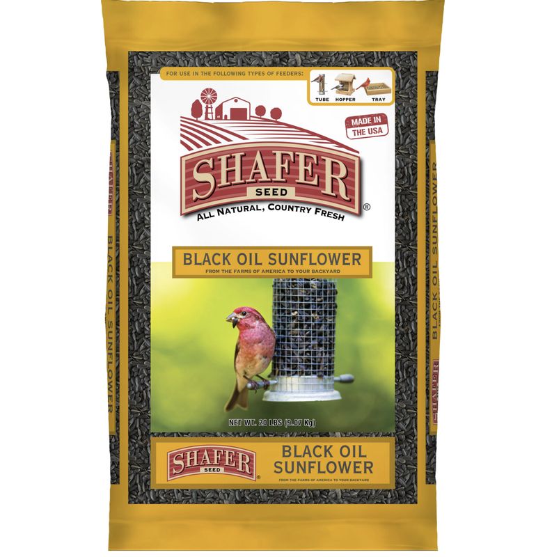Shafer Seed Black Oil Sunflower Seed 10lb