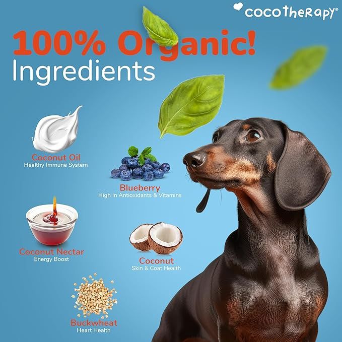 Coco Therapy Dog Coco Charms Blueberry Cobbler 5oz